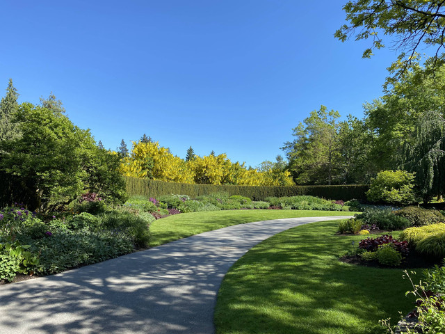 Ilustrasi Tiket Masuk Taman Safari Prigen per Mobil. Foto: Unsplash/Henrique Paim