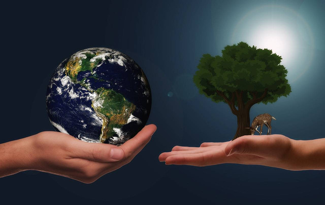 https://pixabay.com/photos/hands-earth-next-generation-4091879/