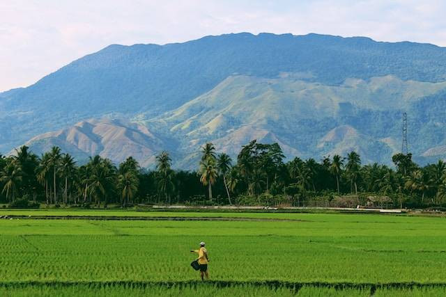 Gunung Grigak. Foto hanya ilustrasi bukan tempat sebenarnya. Sumber foto: Unsplash.com/Sandy Zebua