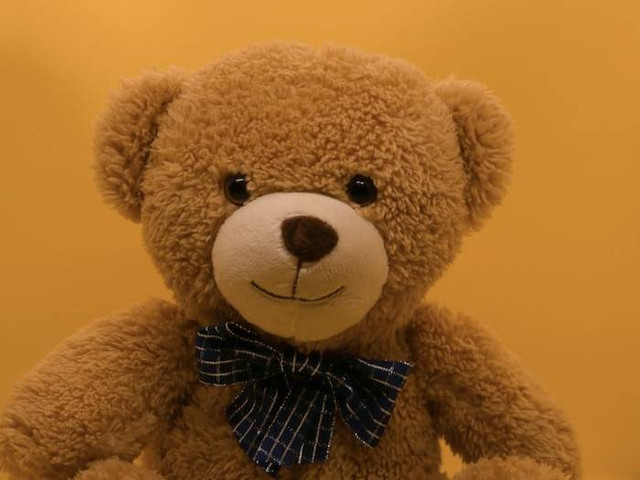 Ilustrasi Toko Boneka di Denpasar (Foto hanya ilustrasi, bukan tempat sebenarnya) Sumber: unsplash.com/ Carter Baran
