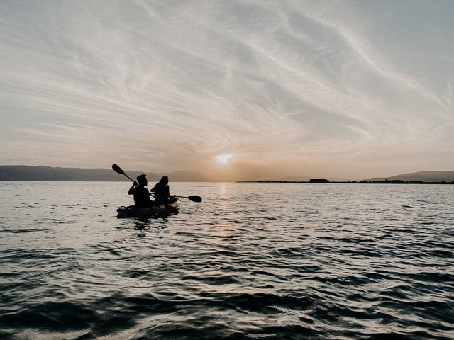 Kano Mangrove Baros / Foto hanya ilustrasi bukan tempat sebenarnya. Sumber: https://unsplash.com/