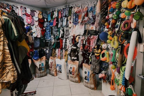 Ilustrasi Pet Shop di Bandung (Bukan Gambar Sebenarnya)|Unsplash|Kamarov Egor