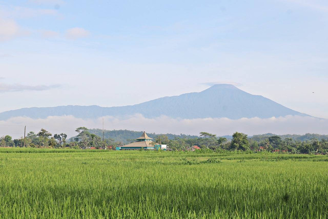 Gunung Selamet: Pesona Alam yang Menakjubkan di Puncak Jawa Tengah ...