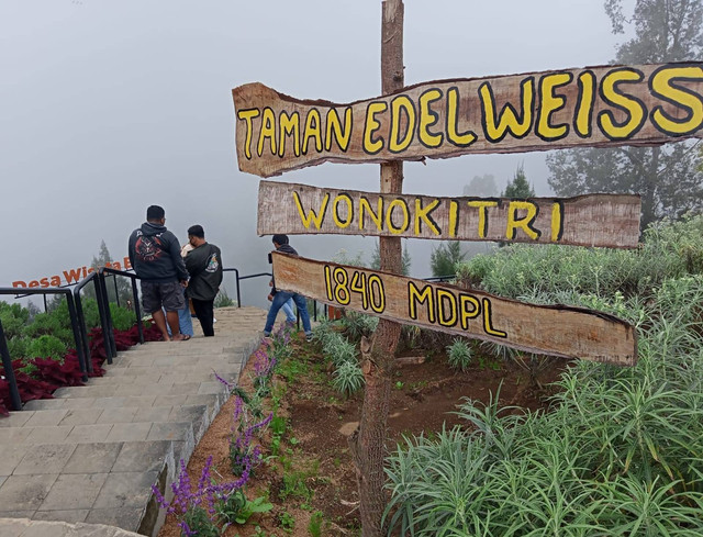 Taman Edelweiss Wonokitri. Foto-foto: Masruroh/Basra