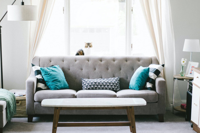 Sebutkan Benda yang Ada di Lipatan Bantal Sofa, Sumber Unsplash Nathan Fertig