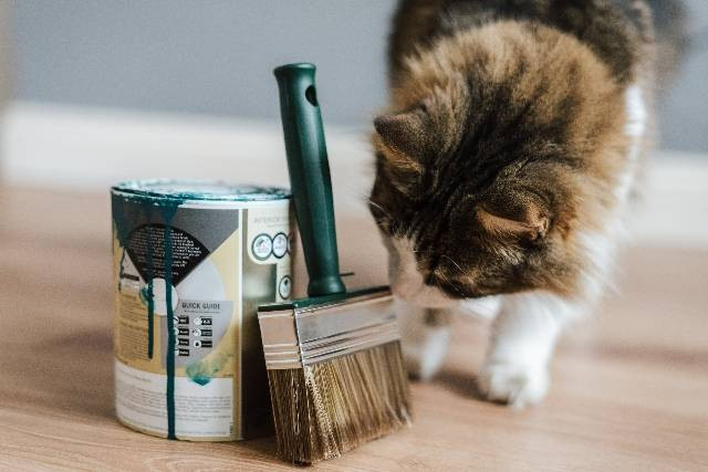 Ilustrasi Toko Cat di Bandung (Bukan Gambar Sebenarnya). Sumber: Pexels|Anete Lusina