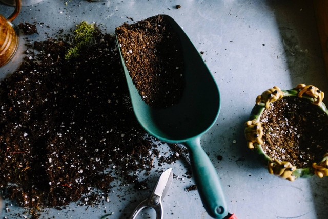Ilustrasi media tanam. Sumber foto: Unsplash