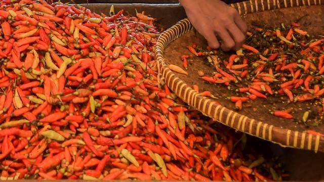 Harga cabai rawit merah yang mahal menjadi penyumbang terbesar inflasi di Kota Manado, Sulawesi Utara.