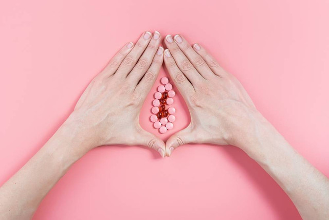 Ilustrasi vagina. Foto: Mikhaylovskiy/Shutterstock