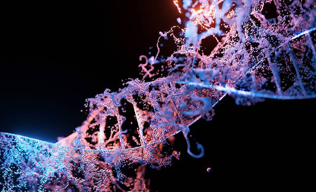 Ilustrasi contoh mutagen fisika. Sumber: www.unsplash.com