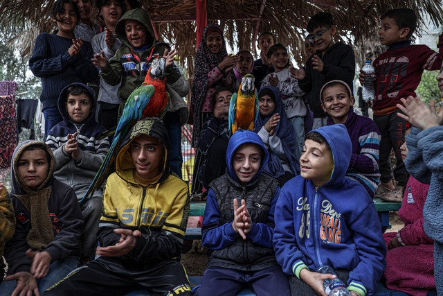 Pengungsi Palestina berfoto dengan burung di kebun binatang di Rafah, Jalur Gaza selatan, pada 2 Januari 2024 yang menjadi tempat perlindungan di tengah konflik yang sedang berlangsung antara Israel dan kelompok militan Hamas. Foto: AFP