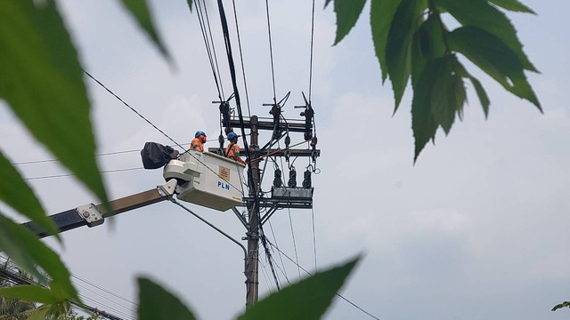 Petugas PLN sedang melakukan pemeliharaan kelistrikan. Foto: istimewa