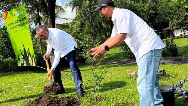 Alumni UAJY saat melakukan penanaman pohon. FOto: istimewa