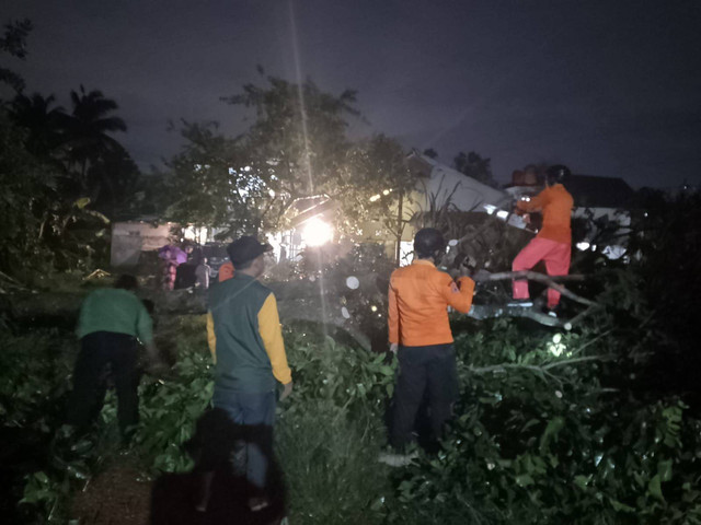 Petugas tengah mengevakuasi pohon yang menimpa rumah dampak puting beliung di Bogor. Foto: bpbd bogor