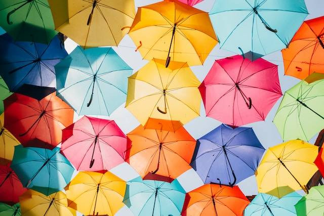 Ilustrasi Buatlah Kalimat dengan Kata Payung. Sumber: Unsplash/Ricardo Resende