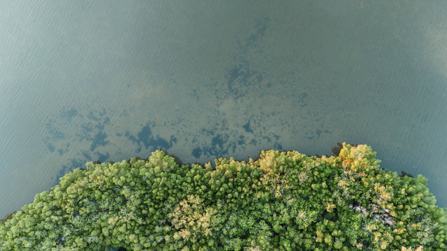 3 Tempat Wisata di Batam yang Terkenal. Foto:Pexels.com/Kelly