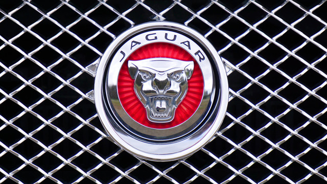 Ilustrasi Merek | Sumber : https://www.pexels.com/photo/jaguar-emblem-170809/