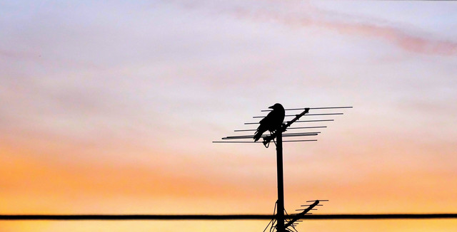 Ilustrasi antena. Foto: pexels