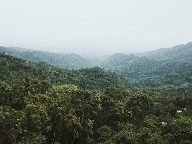 Wisata di Kulon Progo. Foto hanya ilustrasi bukan tempat sebenarnya. Sumber foto: Unsplash.com/Afriyandi Setiawan