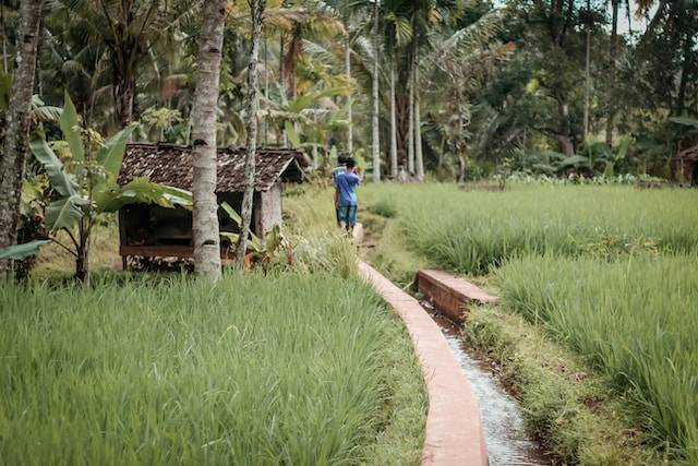 Ilustrasi Asal Usul Desa Karanganyar. Foto: dok. Unsplash/Asep Supriadi