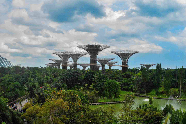 Sumber: https://www.pexels.com/photo/supertrees-in-gardens-by-the-bay-5987044/