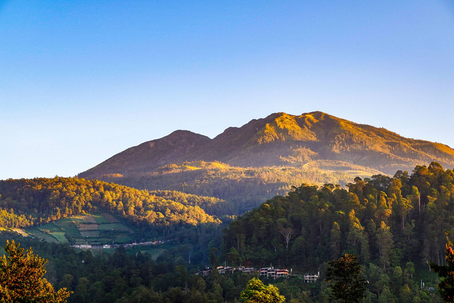 Gunung Lawu, Jawa Tengah. Foto: drSandyWijaya/Shutterstock