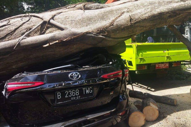 Petugas membersihkan bagian dari pohon yang tumbang di kawasan Kertanegara, Jakarta, Selasa (16/1/2024). Foto: BPBD DKI Jakarta