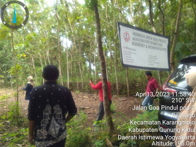 Penanaman Pohon Nyamplung da pengukuran serapan katbon oleh BRIN