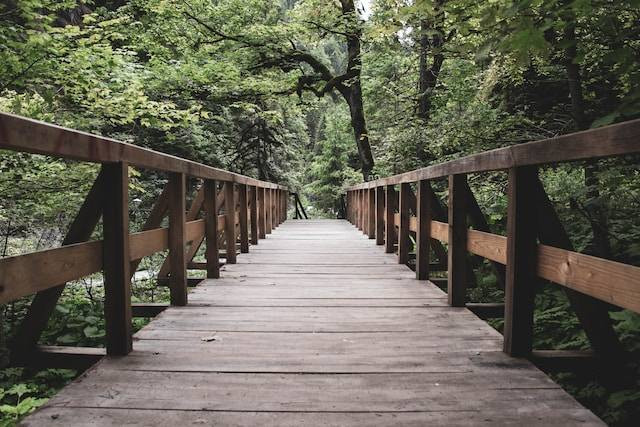 Ilustrasi Tipe Jembatan yang Digunakan pada Zaman Purba. Foto: dok. Unsplash/Miriana Dorobanțu