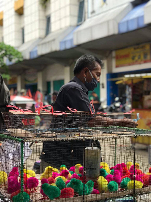 Sumber : Dokumentasi pribadi penulis