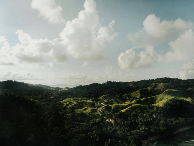 Ilustrasi Suku dan Masyarakat Adat Sulawesi Tenggara. (Sumber: Pexels/Einstina Randy)