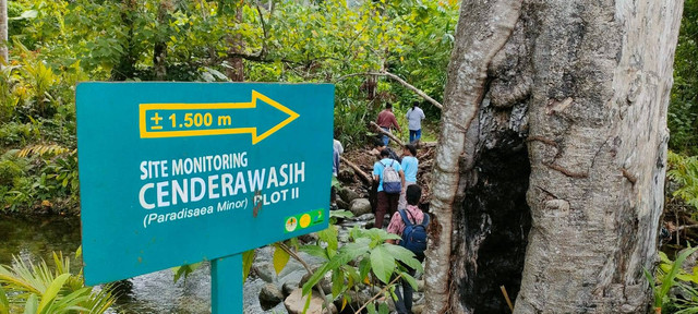 Kampung Tablasupa, lokasi pengamatan Burung Cenderawasih. Foto: Katharina/BumiPapua