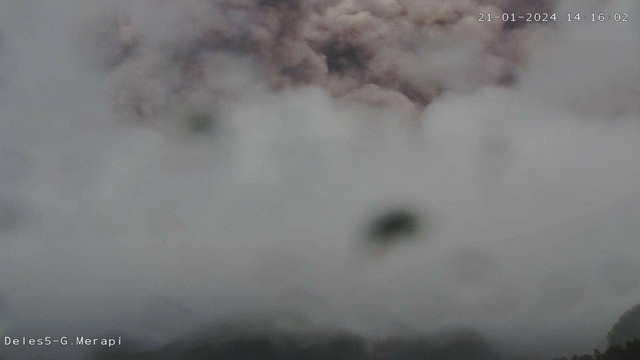 Penampakan Gunung Merapi erupsi pada Minggu (21/1) pukul 14/16 WIB. Dok: BPPTKG