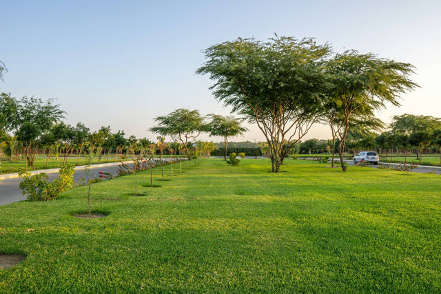Lapangan Kridasari. Foto Hanya Ilustrasi, Bukan Tempat Sebenearnya. Sumber Unsplash Javier Tavara