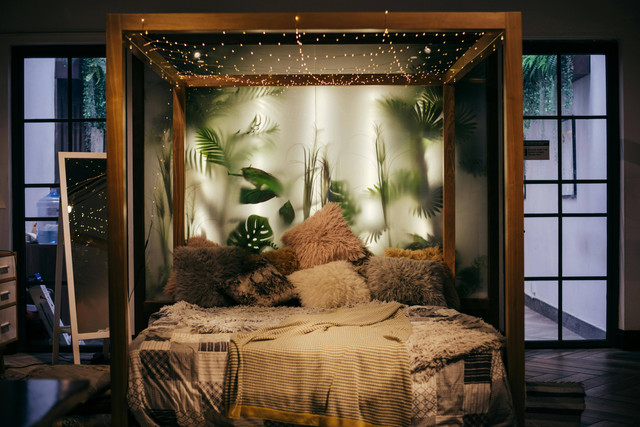 Nyamuk adalah hewan yang tidak diundang dan selalu muncul di manapun, termasuk kamar. Foto: Pexels.com