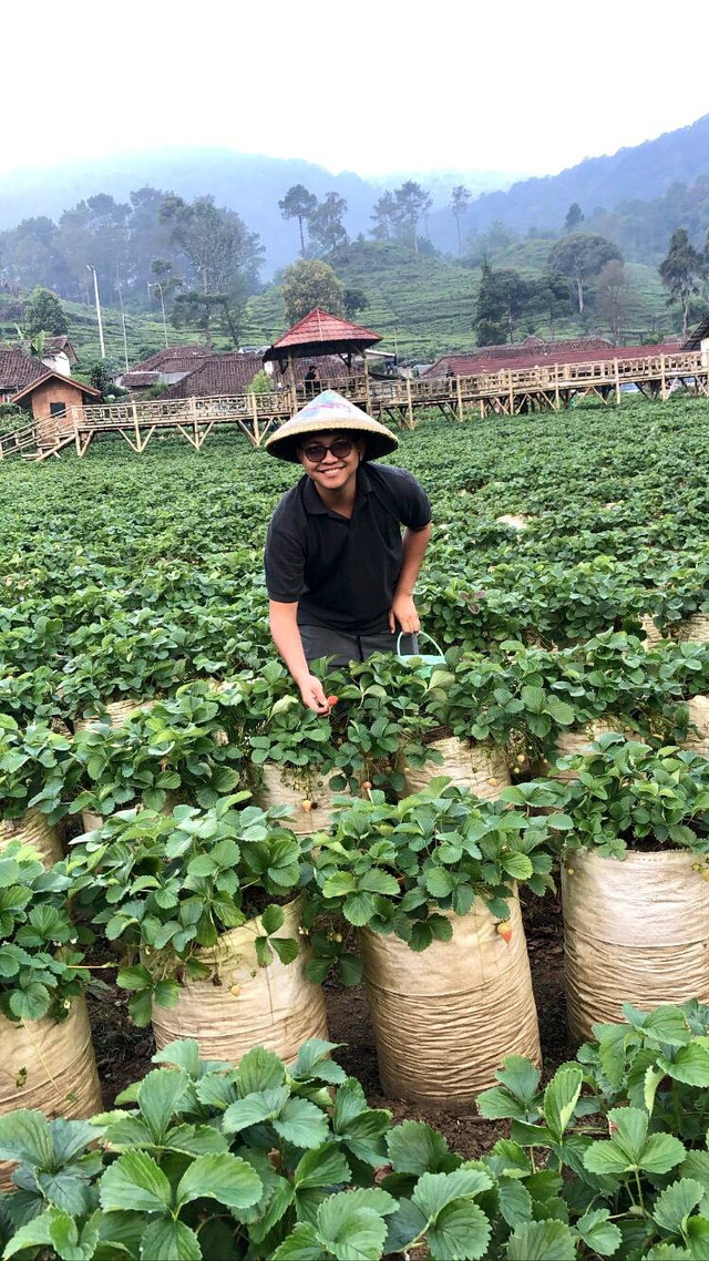 Foto petani strawberi di Ciwidey
