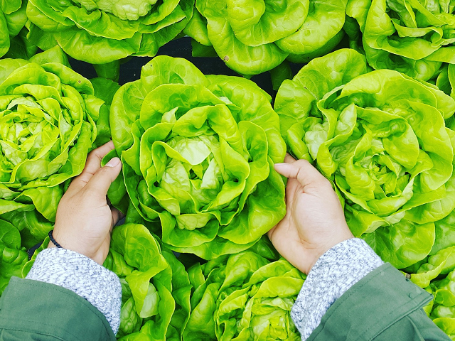 Ilustrasi contoh penerapan prinsip ekonomi dalam kegiatan produksi. Sumber: unsplash.com/PhucLong.