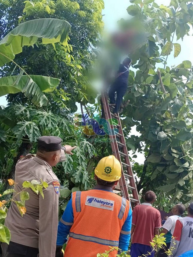 Petugas saat mengevakuasi mayat Kabul (55), warga Desa Wotan, Kecamatan Sumberrejo, Kabupaten Bojonegoro, yang meninggal akibat tersengat listrik. Minggu (28/01/2024) (Aset: Istimewa)