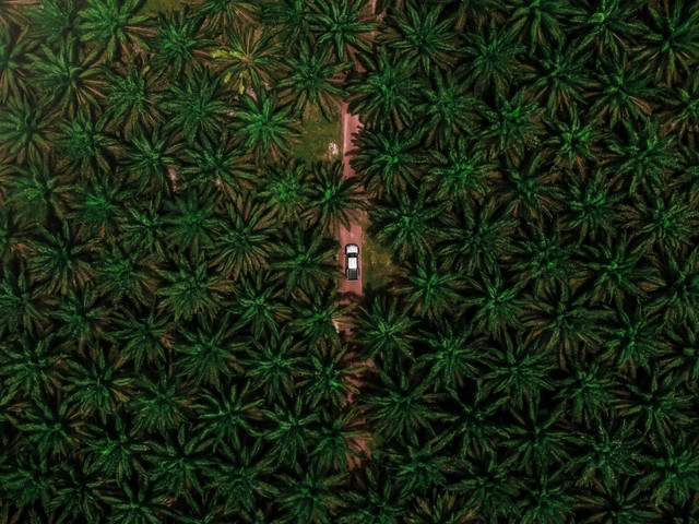 Ilustrasi Contoh Peran Indonesia sebagai Produsen di ASEAN. Sumber: Unsplash/Nazarizal Mohammad