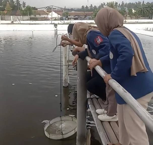 Mahasiswa KKN Unair saat berkunjung ke tambak udang di Kecamatan Kalipuro, Kabupaten Banyuwangi. Foto: Humas Unair