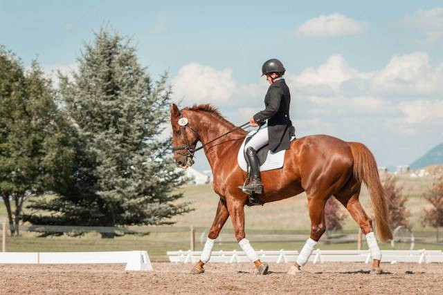 Ilustrasi Trot Berkuda. Sumber Foto: Unsplash.com/Mikayla Storms