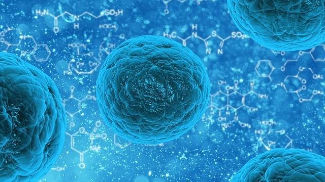 Ilustrasi mikroorganisme yang efektif untuk pembuatan sel tunggal adalah ganggang biru spirulina. Foto: Pixabay.