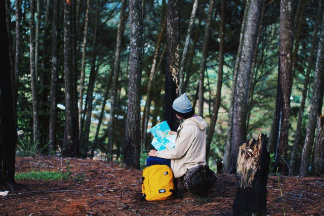 Jelaskan letak strategis wilayah indonesia. Foto hanya ilustrasi, bukan yang sebenarnya. Sumber: Pexels/Life  Folk