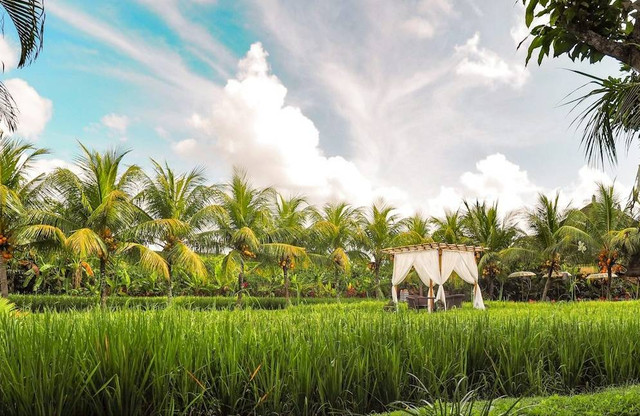 Ilustrasi Geblek Pari, Bukan Tempat Sebenarnya  Sumber Unsplash/Coleen Rivas