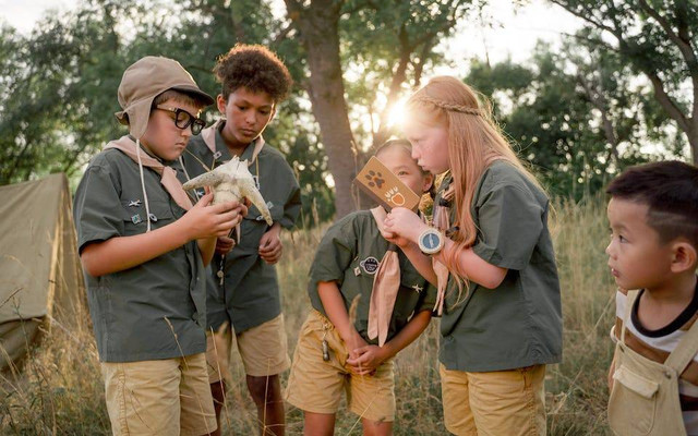 Ilustrasi sejarah pramuka di indonesia. Sumber: cottonbro studio/pexels.com