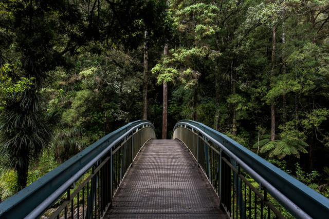 Ilustrasi Tempat Wisata Alam Bandung. Unsplash/Tim Swaan.