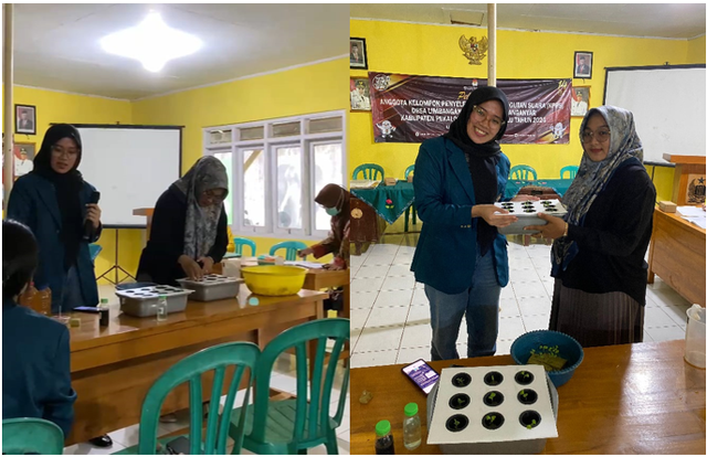 Penyuluhan dan pembinaan budidaya hidroponik rumahan.