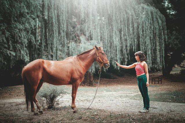 Ilustrasi animal communicator. Sumber foto: Unsplash