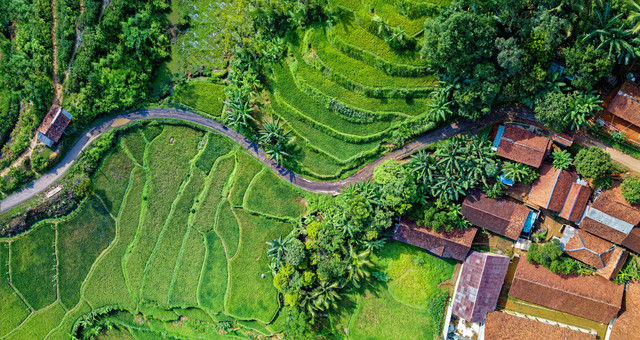 Ilustrasi Wisata Pujon Malang, Foto: Pexels/Tom Fisk