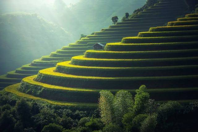 Mengapa negara-negara Asia Tenggara memiliki tanah yang subur. Sumber: pexels.com